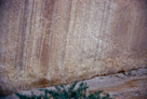 And some petroglyphs that share the cliff wall with the lone warrior.