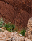 Monument Valley Tribal Park Petroglyphs