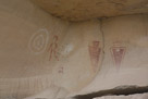 In the corral an under an overhang are these figures. The two tapered figures on the right appear to be authentic.  Note the sheep petroglyph near the bottom of the first tapered figure. I deem the figures on the left including the circles to be recent graffiti.