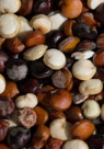 Seeds - Just plain old seeds.