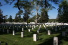 Arlington National Cemetery