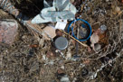 Offerings at the site of Chief Joseph's Tepee site. Note the medicine bundle.