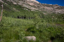 Lamoille Valley