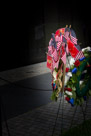 A wreath.