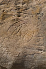 Weathered shield.