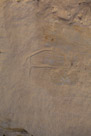 A small zoomorph near the shields.