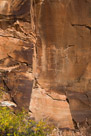An overview of this group of glyphs.