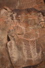 Same glyph without Lightroom manipulation.