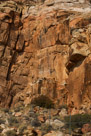 Lot of rock art on in this picture. Can't see it. Go to next picture.