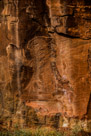 Another fully pecked figure near the previous one. The figure has stubby arms but elbows are indicated and three fingers are on each hand. There is a bold irregular line going from the left side of the head to the right. The bottom left indicates a very stubby leg with three toes. There appears to be a loop across the bottom of the figure to the other leg/foot. Remineralization and spalling prevent determination of details of this foot/leg if it even exists. There appear to be two thin lines descending from the loop. There also may be a thin line descending form the left elbow or this may be a latter addition.