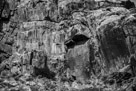 The previous panel in black and white. Sometimes black and white processing makes the glyphs stand out sometimes not.