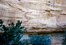 The two panels can both be seen in this picture, the two figure panel at the left and the 'Skeleton Shaman' at the right. Both panels are pretty well above the current ground level.  It is possible that in the past the ground level was higher due to sand dunes.