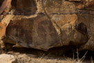 Now we come to this panel with another figure of the elaborate head dress.  Many of these head treatments remind me of the horns of a buffalo. The character has two arms with no elbows indicated but with three fingers on each hand. Feet are indicated on stump legs. There appears to have been some pattern pecked in the head area. The head dress has 'fringe' on the top and bottom.  Now to that enormous figure on the left. Well whaterver it was, it was a big one. There appears to be feet under it and a long 'neck' extending to the right.