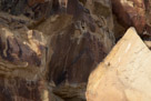 A look back down the rock face at some of the previous panels from a different perspective. Note the interior detail in the 'head' of the large figure in the right center of the picture.