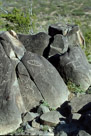 Three Rivers Pictograph Site (New Mexico)