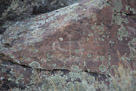 Torrey Creek (Whiskey Basin) Petroglyphs