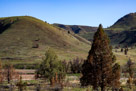 John Day Fossil Beds