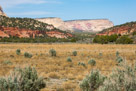 Johnson Canyon, Kanab, Utah